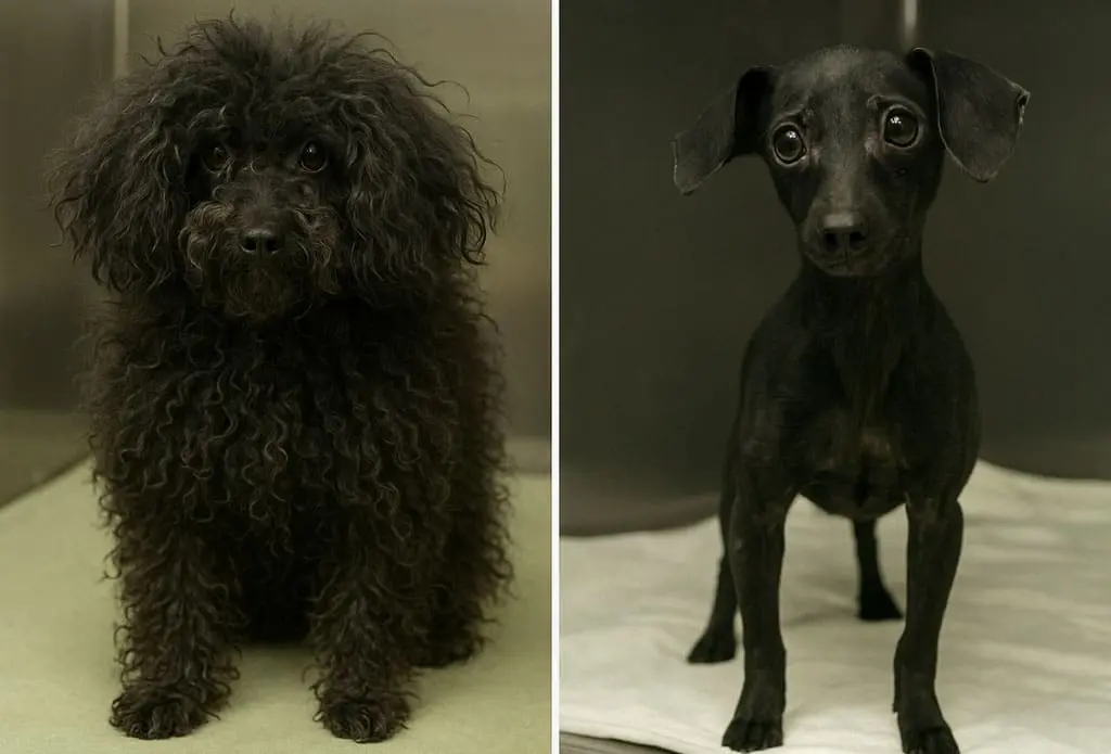 Antes e depois 4